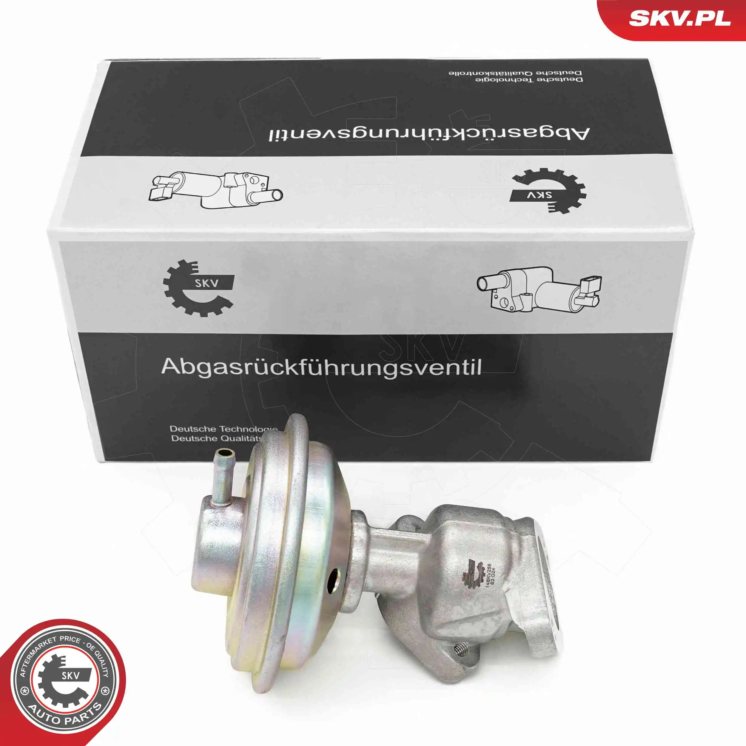 EGR Valve